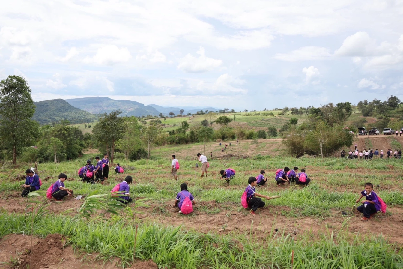 ออมสิน ขยายผลปลูกป่าอีก 2,500 ไร่ จ.เลย ตามแผน Net Zero 2050