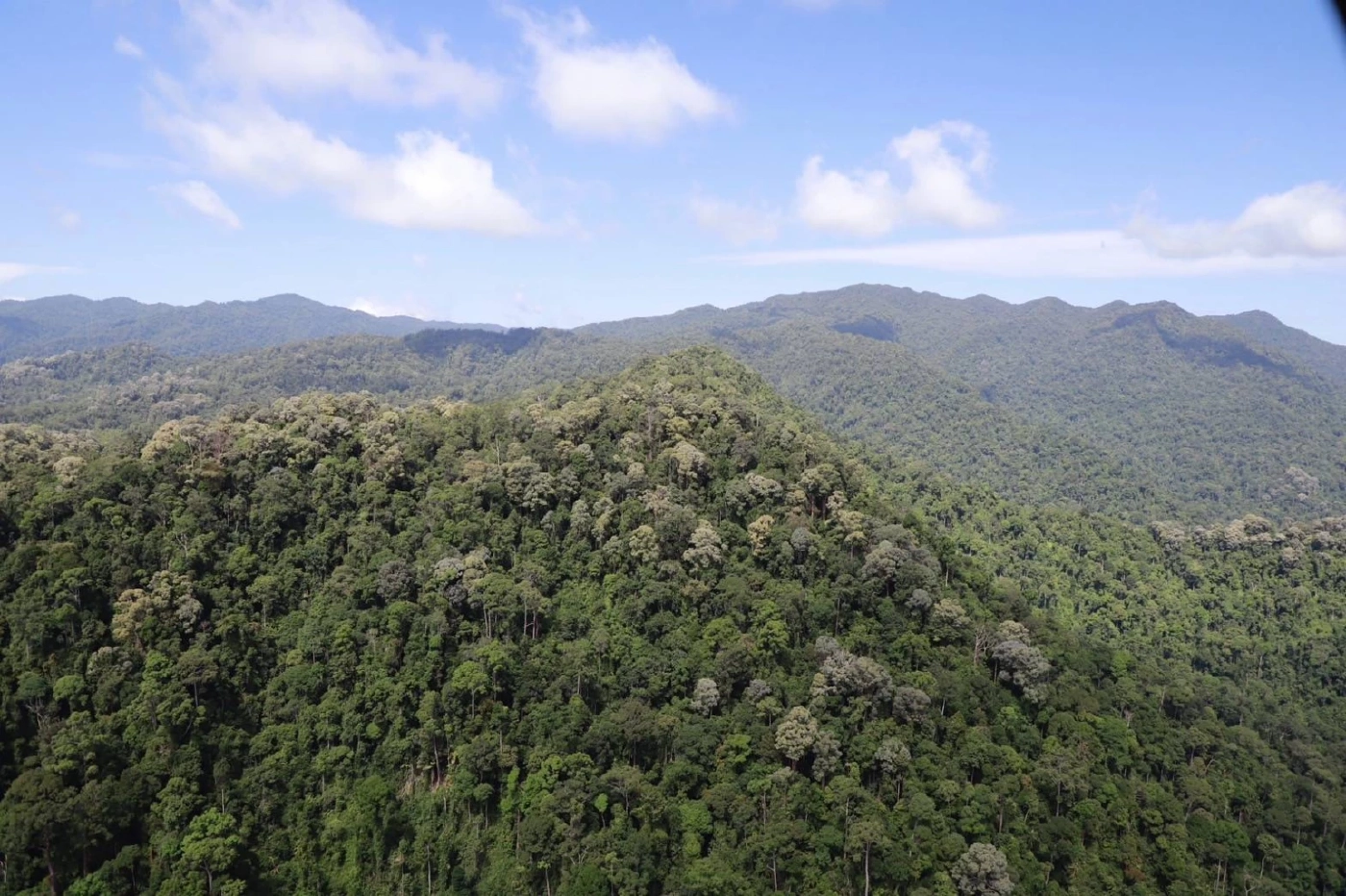 "มทภ.4" บินสำรวจแนวชายแดนนราธิวาสพบ  "ผู้ก่อเหตุรุนแรงขนอาวุธข้ามแดน"