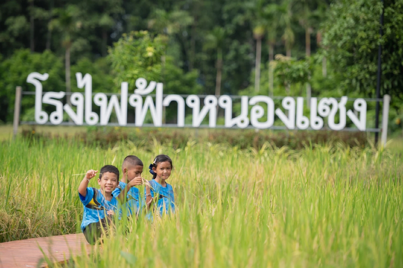 1 ทศวรรษแปลงนาสาธิต GULF ผสานอุตสาหกรรมและชุมชนอย่างยั่งยืน