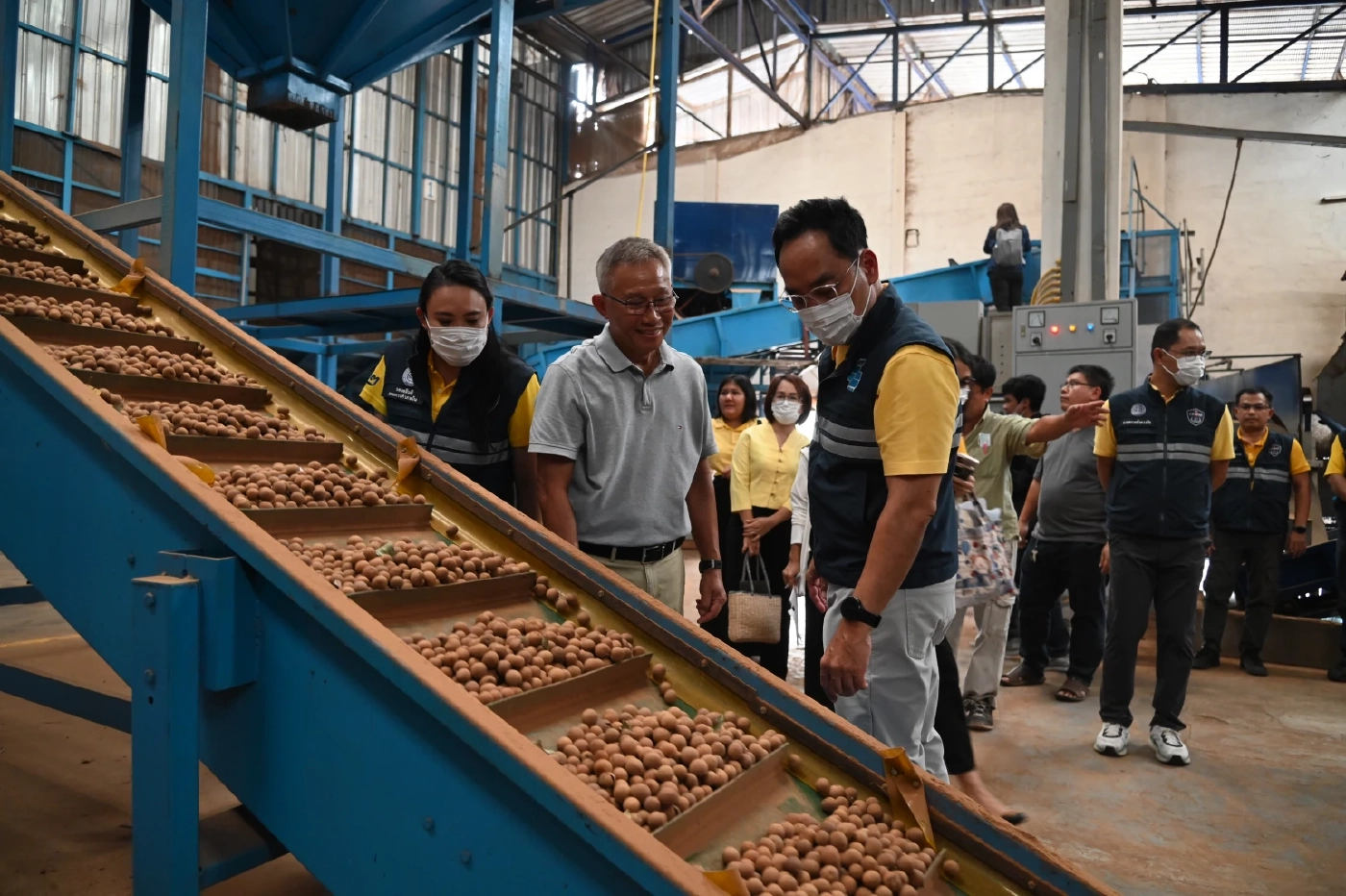 พาณิชย์เดินหน้าพยุงราคาลำไย ดึงโรงอบรับซื้อ 100,000 ตัน