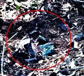 พรรคเศรษฐกิจ เสนอยกเลิกข้อตกลงหยุดยิง หลังกัมพูชาวางทุ่นบึ้ม