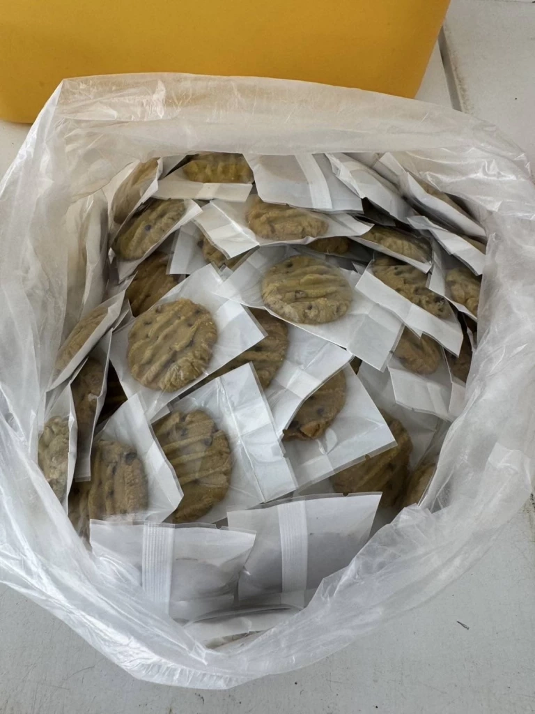 แทบอ้วก! ดัดแปลงส้วมเป็นห้องแลปทำ "เยลลี่-คุกกี้ผสมกัญชา"