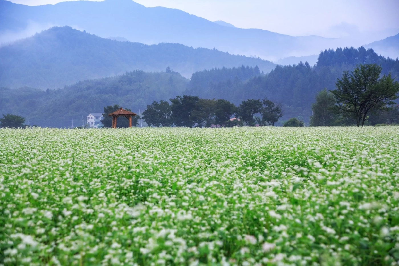 ‘เขาใหญ่’ คว้าอันดับ 2 จุดหมายปลายทางชนบทยอดนิยมเอเชีย