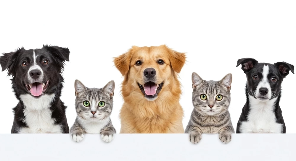 พาณิชย์ชี้เป้าส่งออกอาหารสัตว์เลี้ยงเจาะตลาดอิตาลี