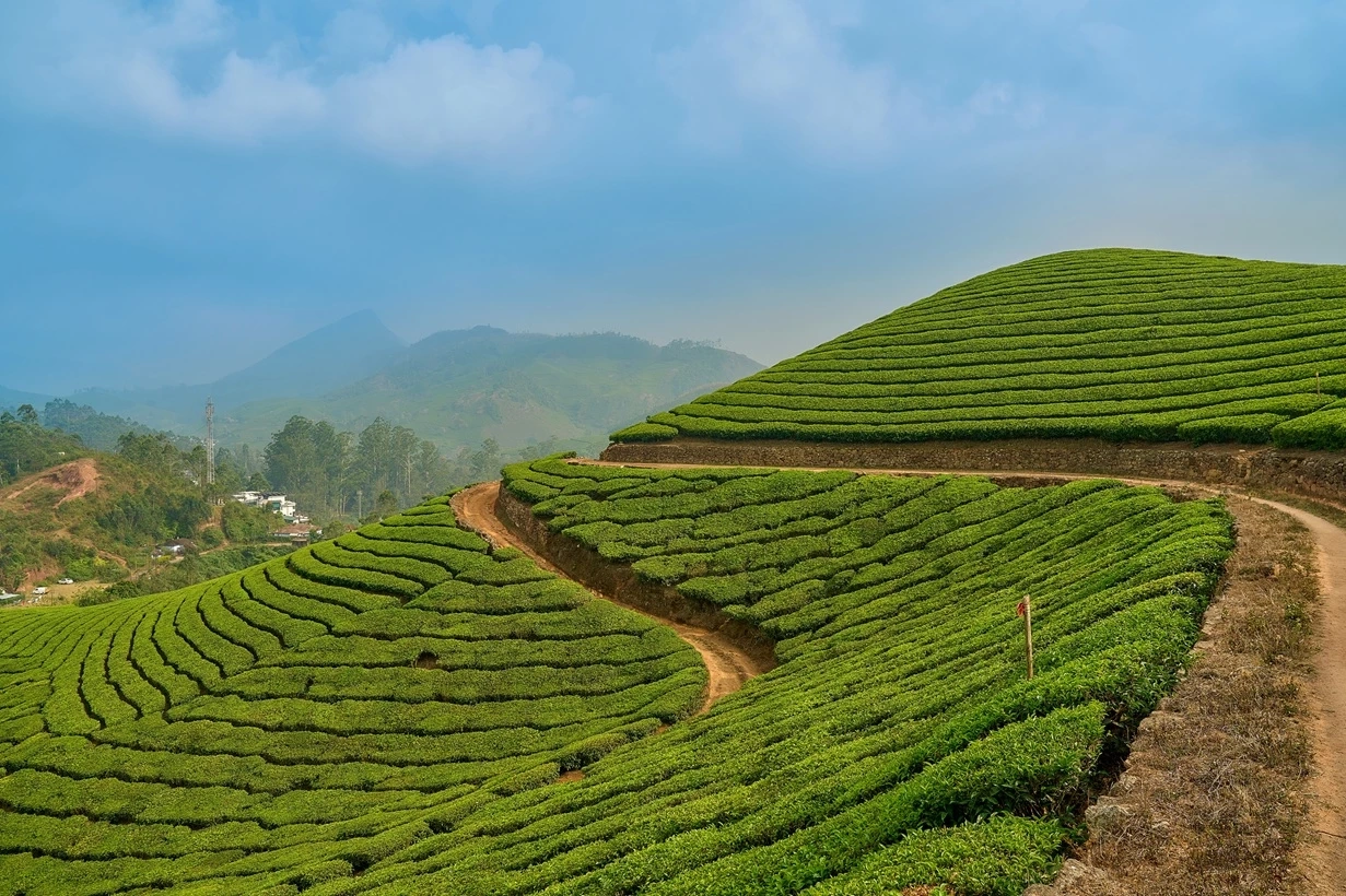 ‘เขาใหญ่’ คว้าอันดับ 2 จุดหมายปลายทางชนบทยอดนิยมเอเชีย