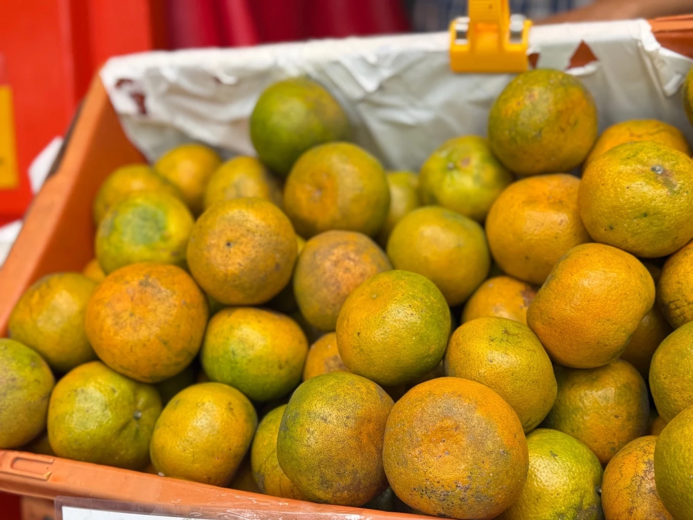 ธ.ก.ส. เปิดตลาดนัดสินค้าเกษตร “อินทรีย์ กลางเมือง” 24 - 26 ก.ย. นี้