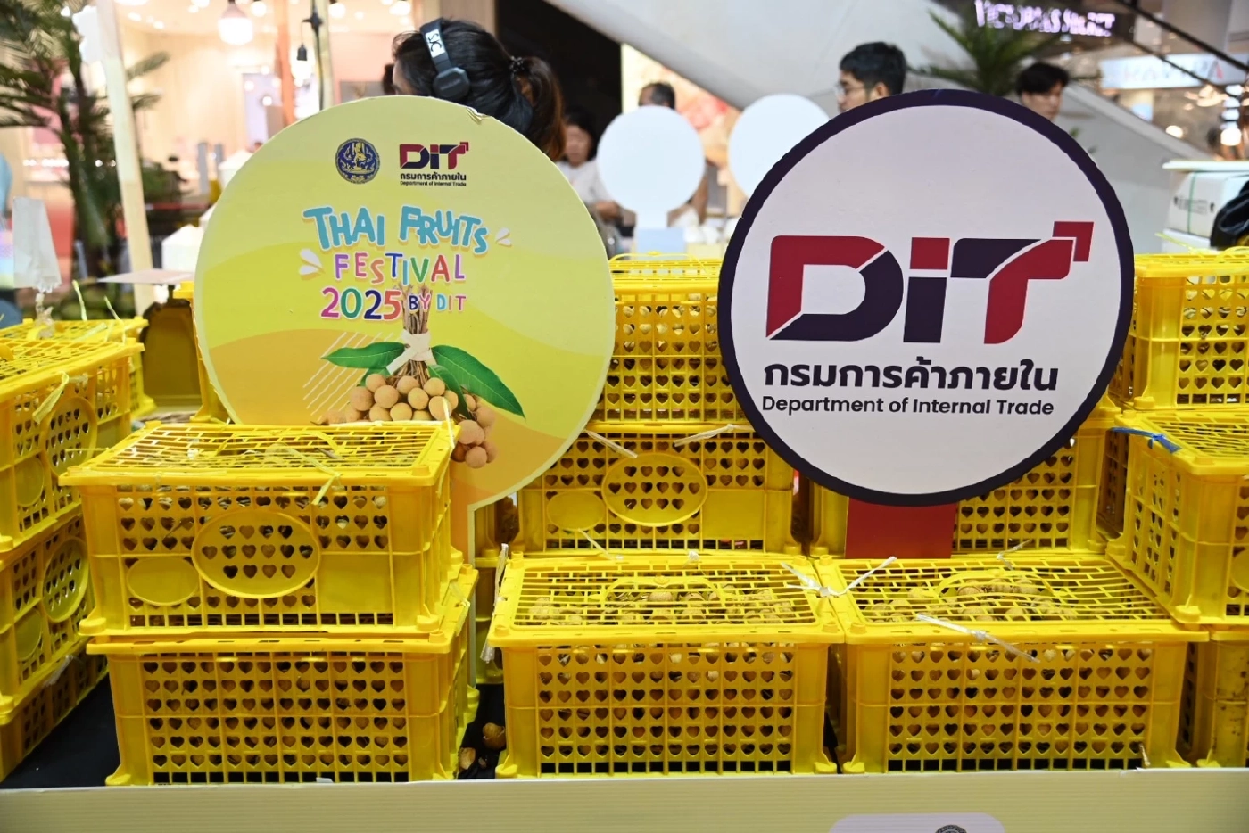 กรมการค้าภายในปั้น Farm Outlet หนุนเกษตรกรไทยสร้างรายได้เพิ่ม