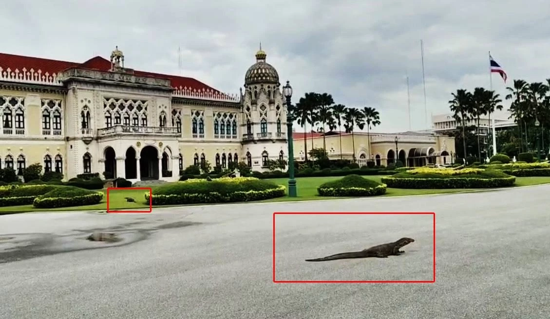 ตัวอย่างเบิ้ม! "2 ตัวเงินตัวทอง" โผล่ทำเนียบรัฐบาล วันไร้ "นายกฯ" คาดขึ้นมาหาที่วางไข่