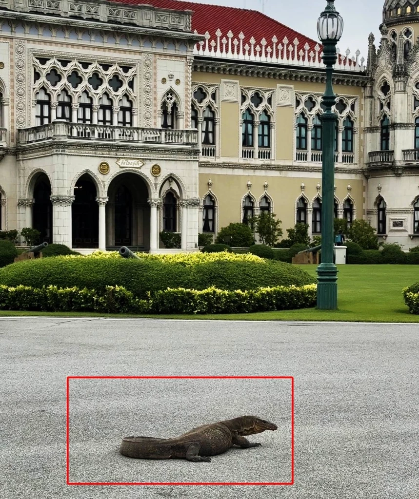 ตัวอย่างเบิ้ม! "2 ตัวเงินตัวทอง" โผล่ทำเนียบรัฐบาล วันไร้ "นายกฯ" คาดขึ้นมาหาที่วางไข่