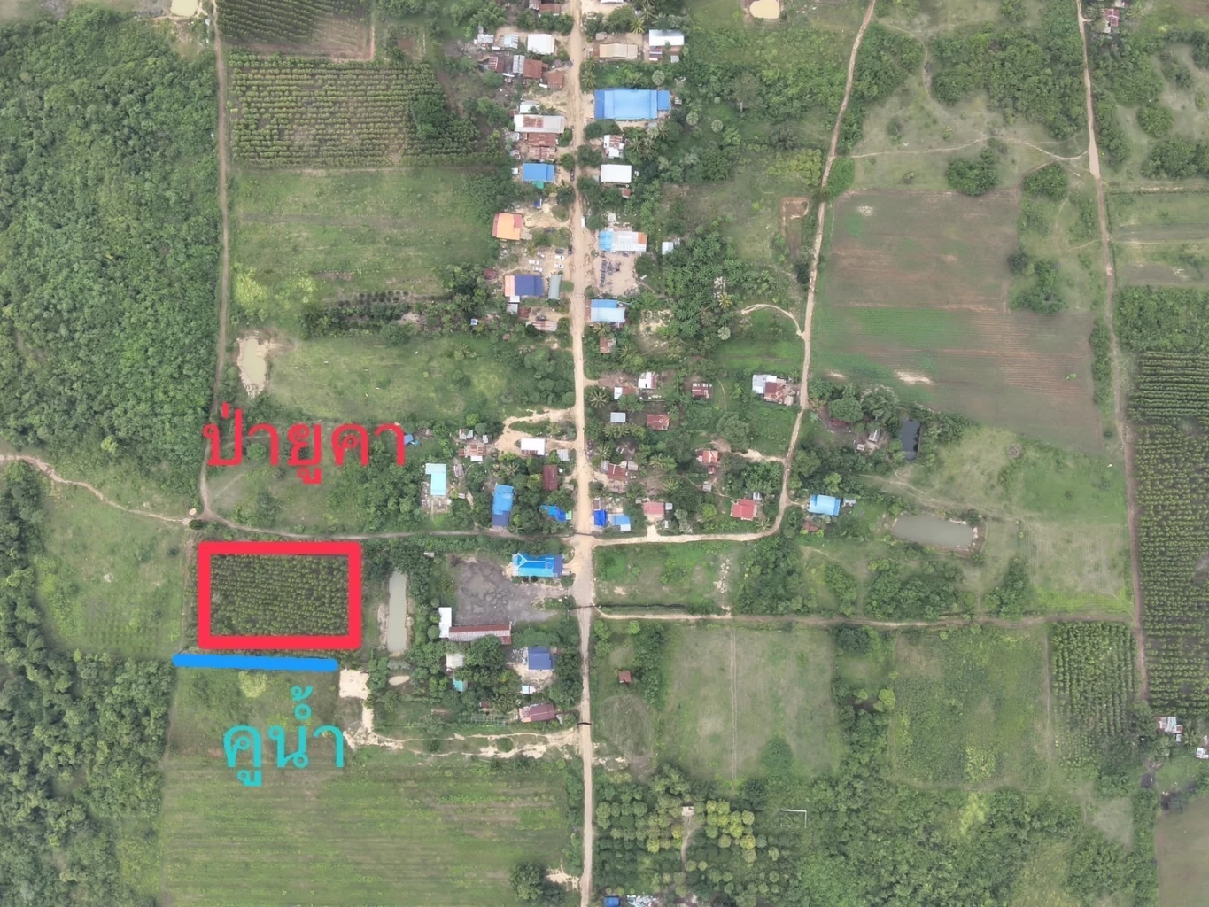 ผู้ว่าบันเตียนฯ จี้ไทยยอมคนกัมพูชากลับเข้าบ้าน-หยุดบังคับไล่