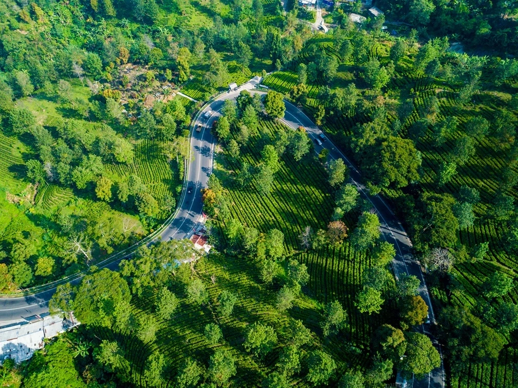 ‘เขาใหญ่’ คว้าอันดับ 2 จุดหมายปลายทางชนบทยอดนิยมเอเชีย