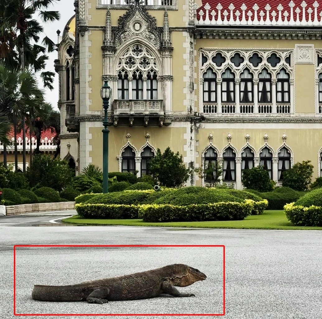 ตัวอย่างเบิ้ม! "2 ตัวเงินตัวทอง" โผล่ทำเนียบรัฐบาล วันไร้ "นายกฯ" คาดขึ้นมาหาที่วางไข่