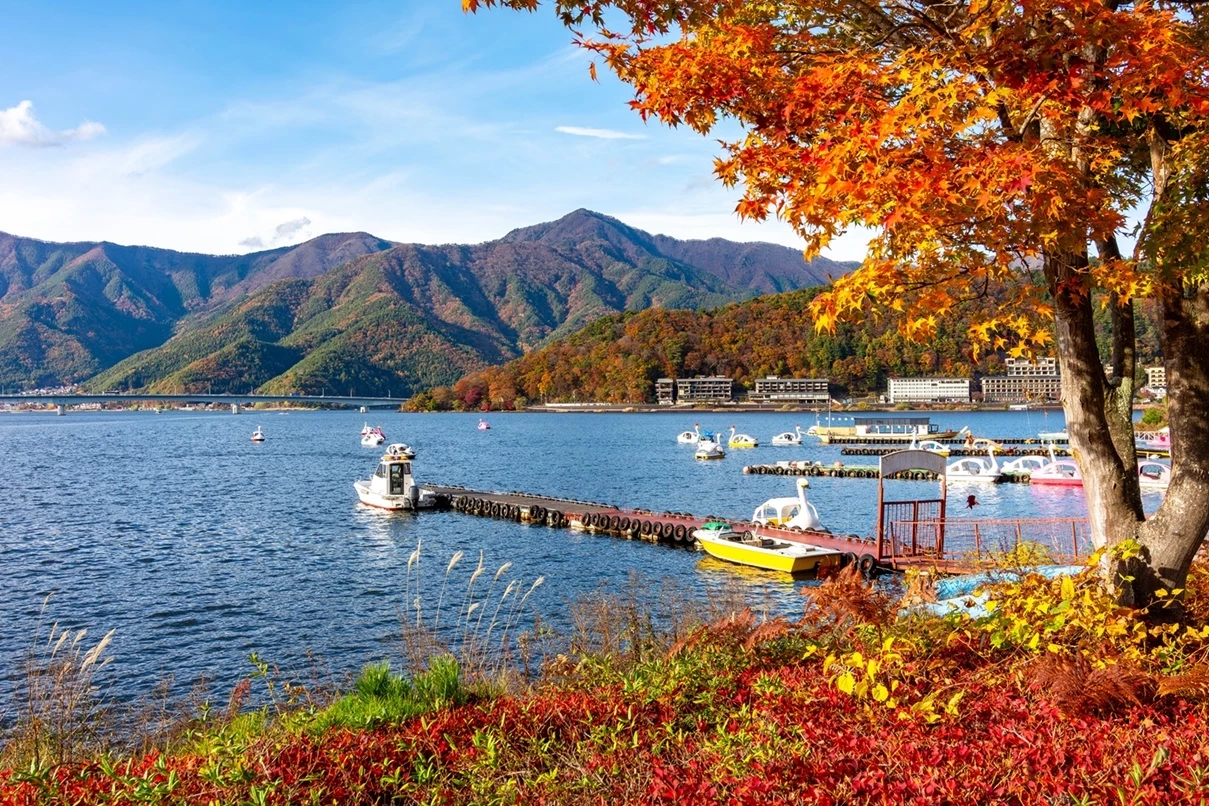 ‘เขาใหญ่’ คว้าอันดับ 2 จุดหมายปลายทางชนบทยอดนิยมเอเชีย