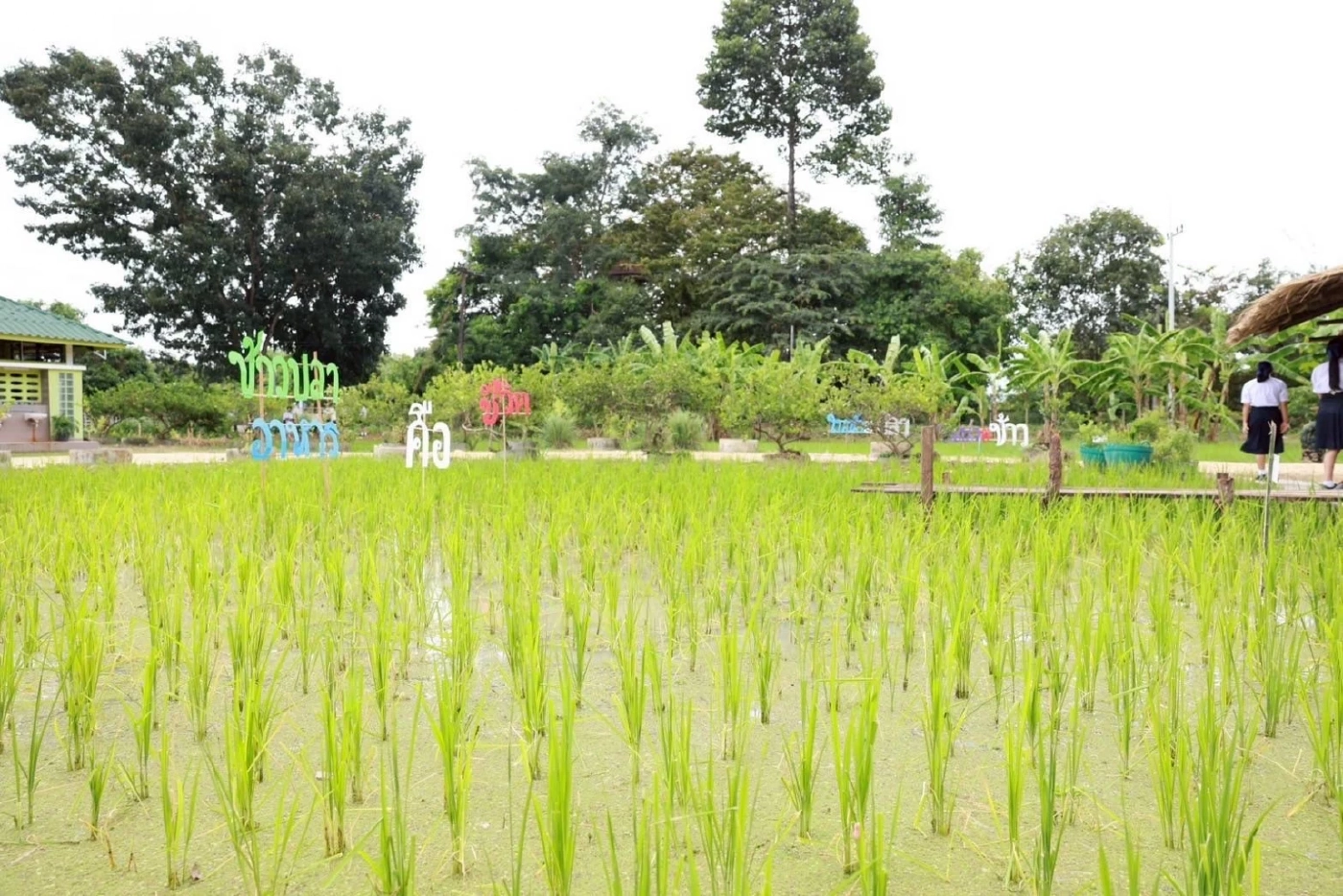 ธ.ก.ส. หนุนสร้างเยาวชนเข้าสู่ภาคการเกษตร \'โรงเรียนเกษตรธนากร\'