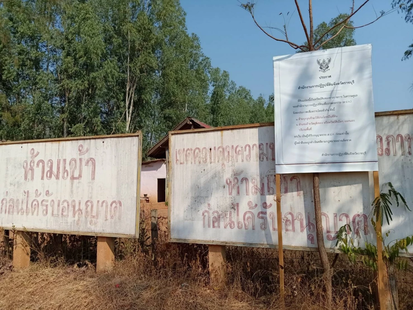 เปิดคำพิพากษาคดีครอบครองที่ป่า \"ปารีณา\" รอดคุก ศาลให้ประกันตัว