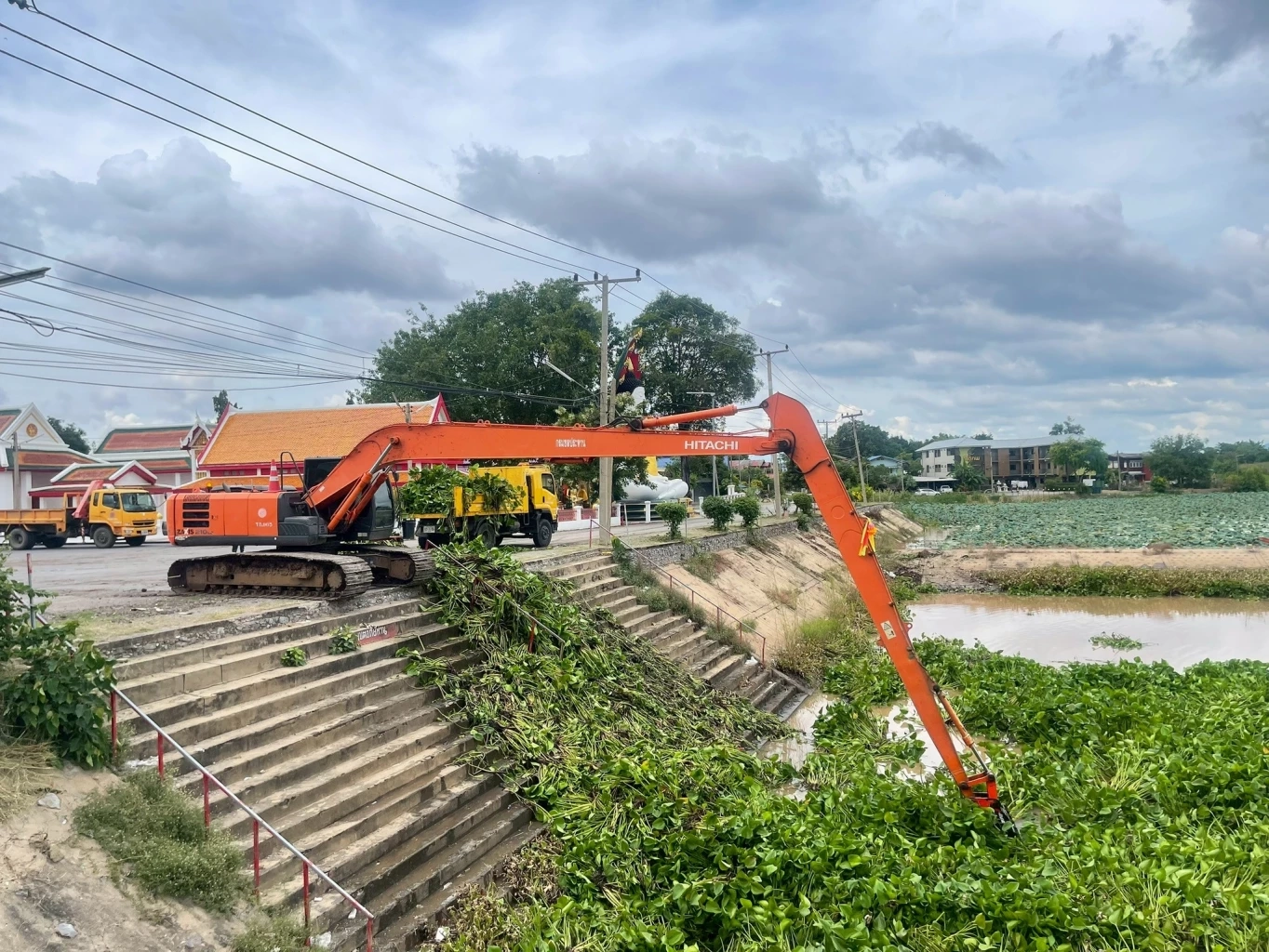 กรมชลฯ ลุย 'คืนคลองใส' กำจัดผักตบชวา ภารกิจคู่ขนานรับมือภัยแล้ง