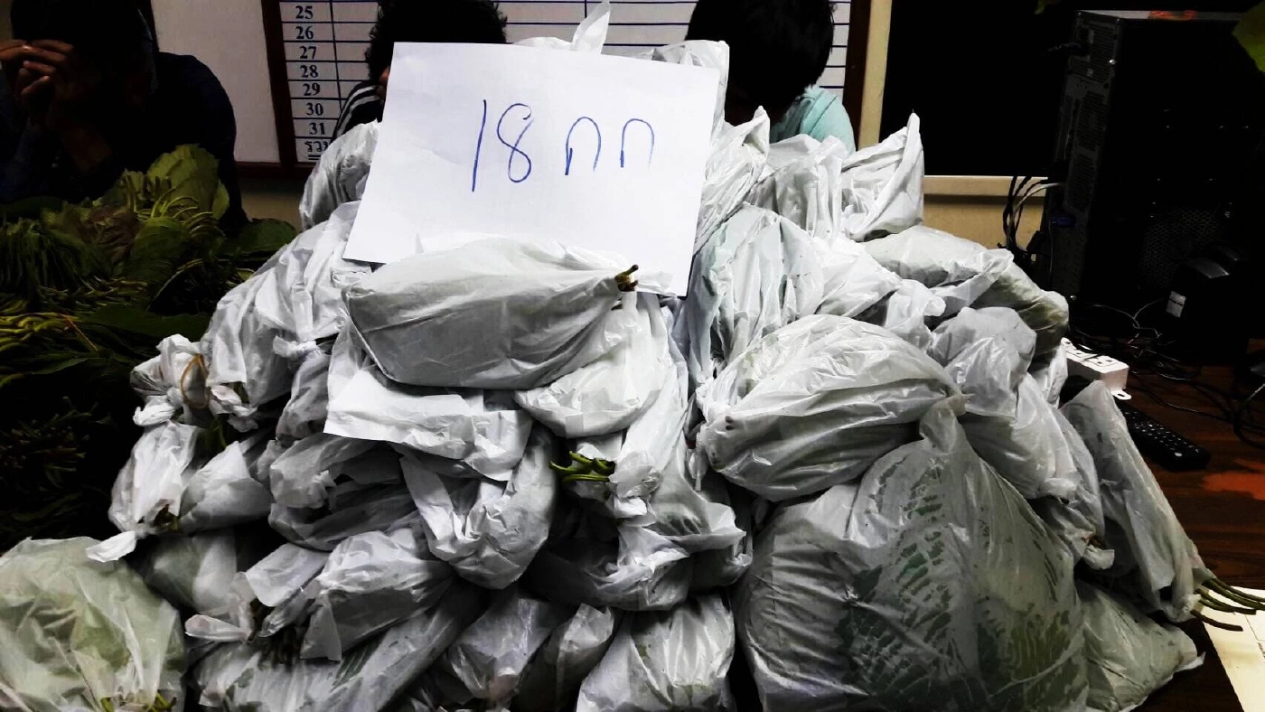 \"เลขาฯ ป.ป.ส.\" เข้ม \"ปรับ 5 หมื่น\" ห้าม เร่ขาย-ตั้งแผงลอย \"ขายกระท่อม\"