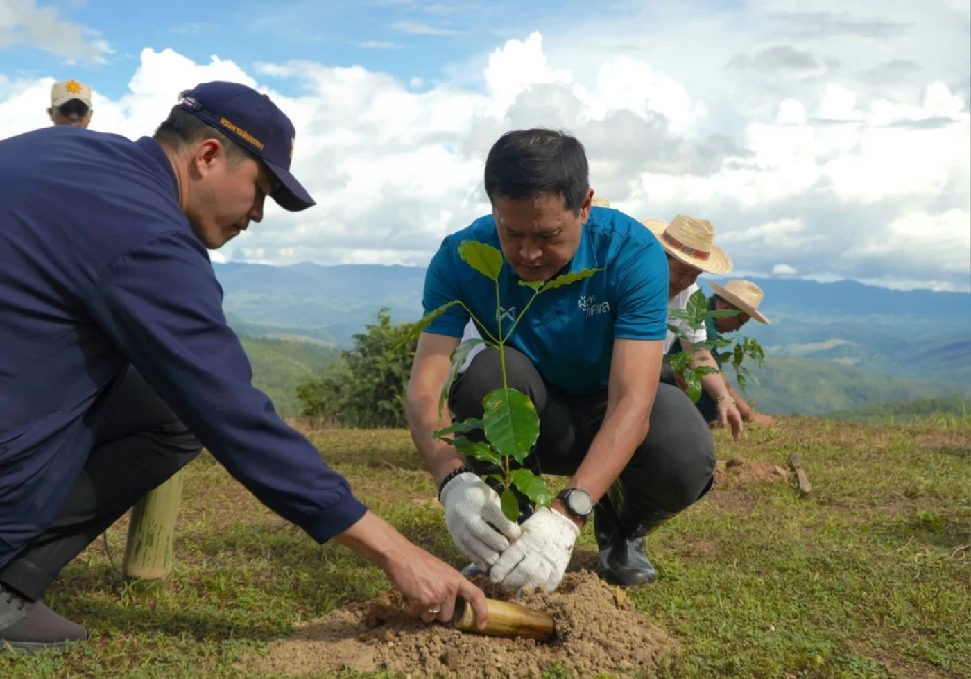 เครือซีพีขยายผล \"แม่แจ่มโมเดลพลัส\" สร้างป่า-รายได้ยั่งยืน