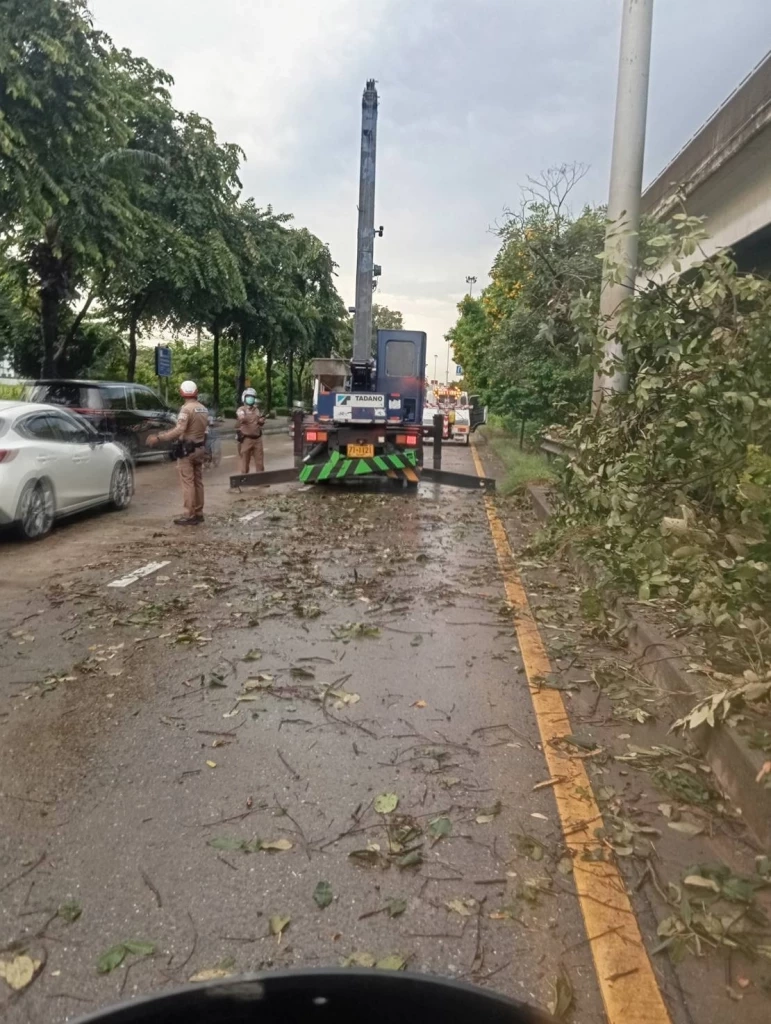 พายุฝนถล่มกรุง ต้นไม้ล้มขวางถนน-บ้านพัง การจราจรเป็นอัมพาตหลายจุด