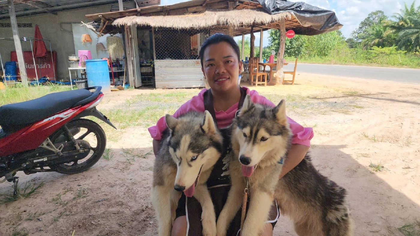 ชาวบ้านชายแดน ห่วงน้องหมาสุดรัก ประกาศหาบ้านใหม่ให้น้อง