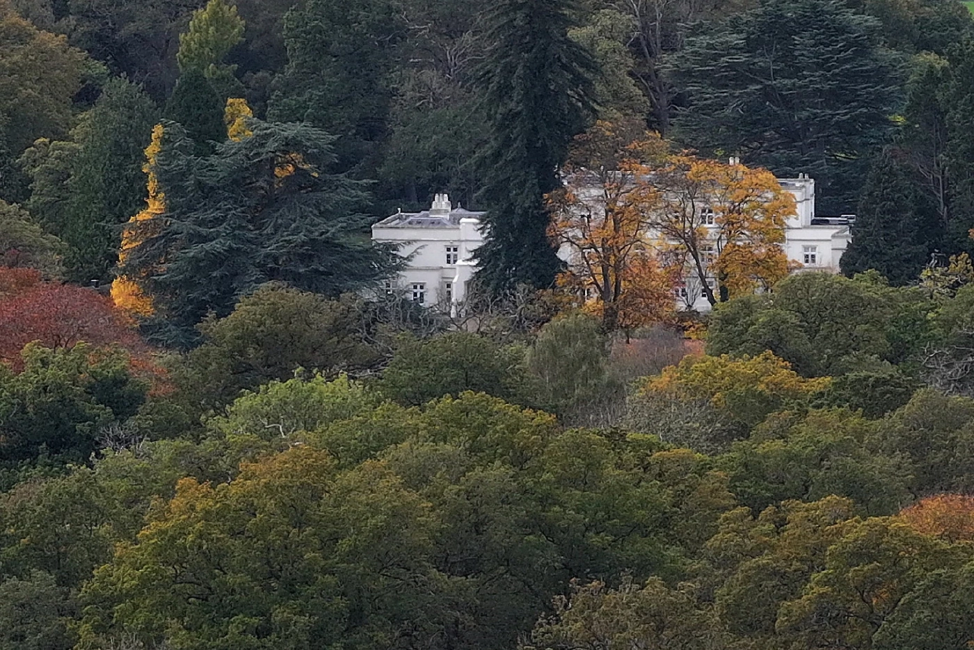 "ลาสบอส" ผู้ซัพพอร์ต ถอด "ปริ๊นซ์ แอนดรูว์"