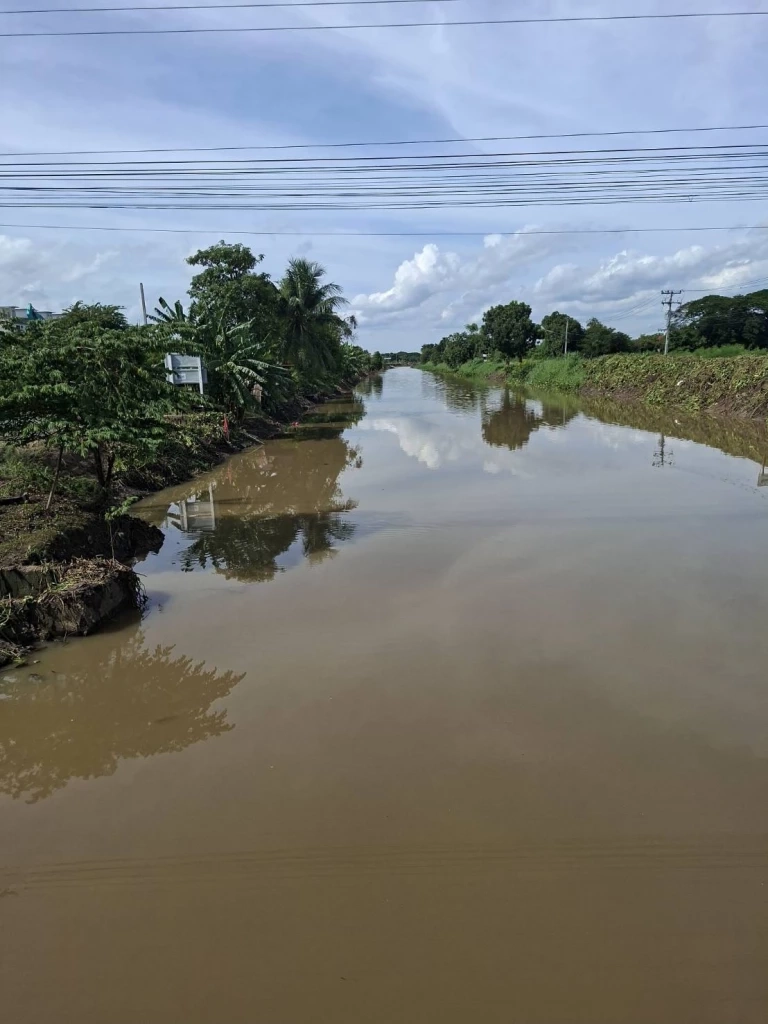 กรมชลฯ ลุย 'คืนคลองใส' กำจัดผักตบชวา ภารกิจคู่ขนานรับมือภัยแล้ง