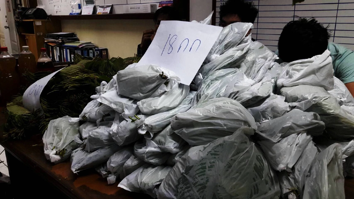 \"เลขาฯ ป.ป.ส.\" เข้ม \"ปรับ 5 หมื่น\" ห้าม เร่ขาย-ตั้งแผงลอย \"ขายกระท่อม\"