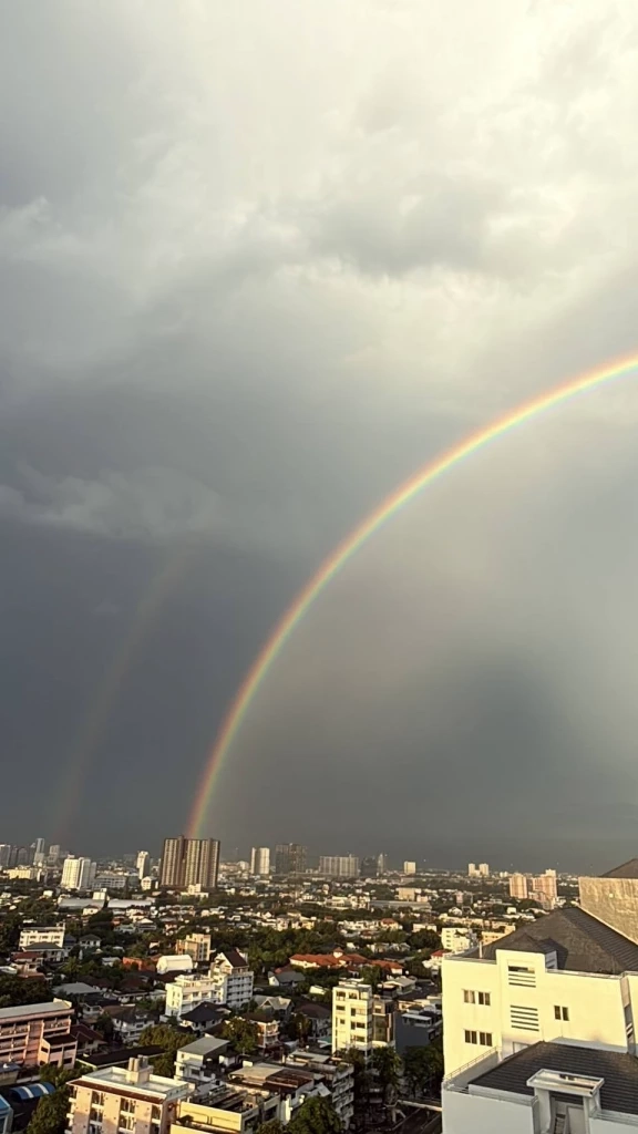 พายุฝนถล่มกรุง ต้นไม้ล้มขวางถนน-บ้านพัง การจราจรเป็นอัมพาตหลายจุด