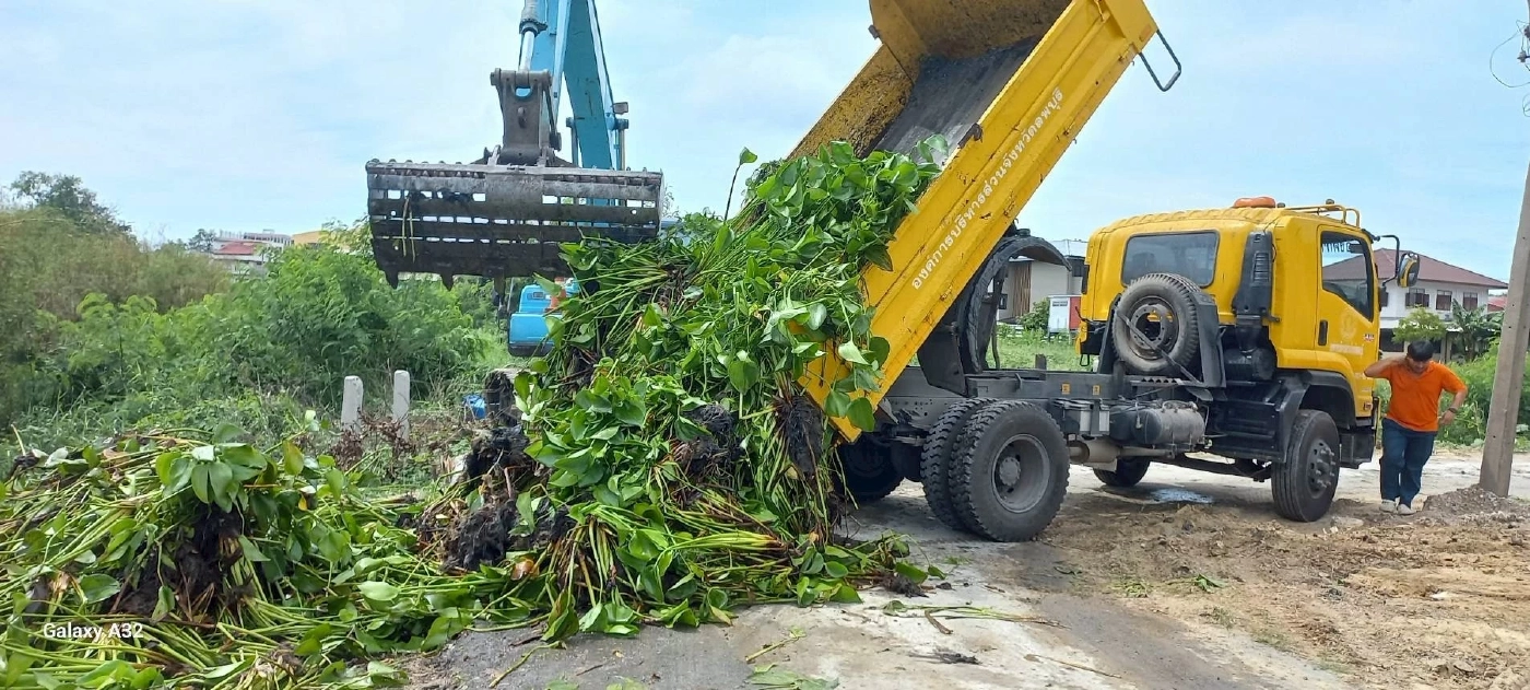 กรมชลฯ ลุย 'คืนคลองใส' กำจัดผักตบชวา ภารกิจคู่ขนานรับมือภัยแล้ง