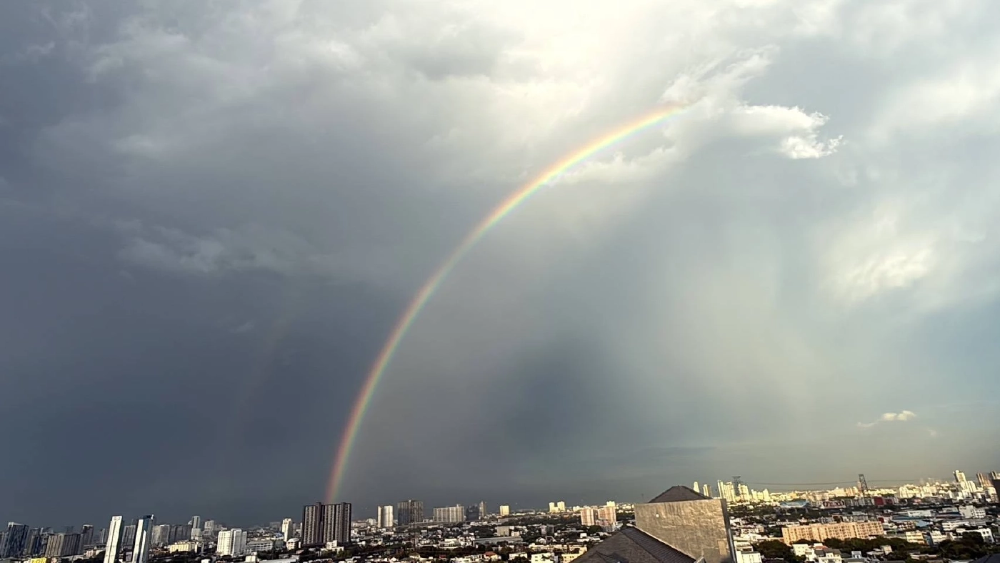 พายุฝนถล่มกรุง ต้นไม้ล้มขวางถนน-บ้านพัง การจราจรเป็นอัมพาตหลายจุด