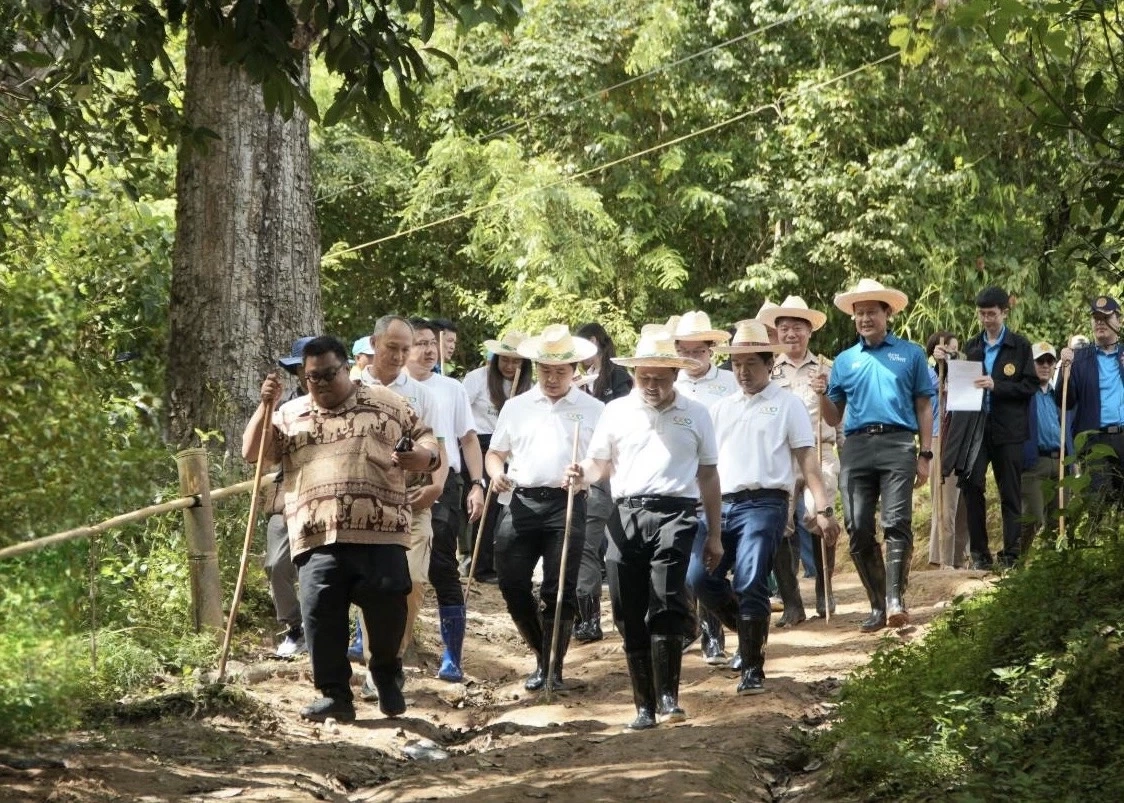 เครือซีพีขยายผล \"แม่แจ่มโมเดลพลัส\" สร้างป่า-รายได้ยั่งยืน