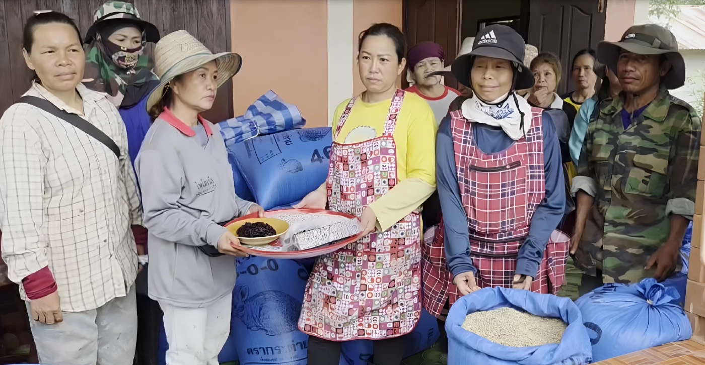 "เกษตรกรอุตรดิตถ์" วอน "ผู้ว่าฯ-ศุภจี" แก้ราคา "ข้าวลืมผัว" ราคาตกเหลือ 13-14 บาท (มีคลิป)