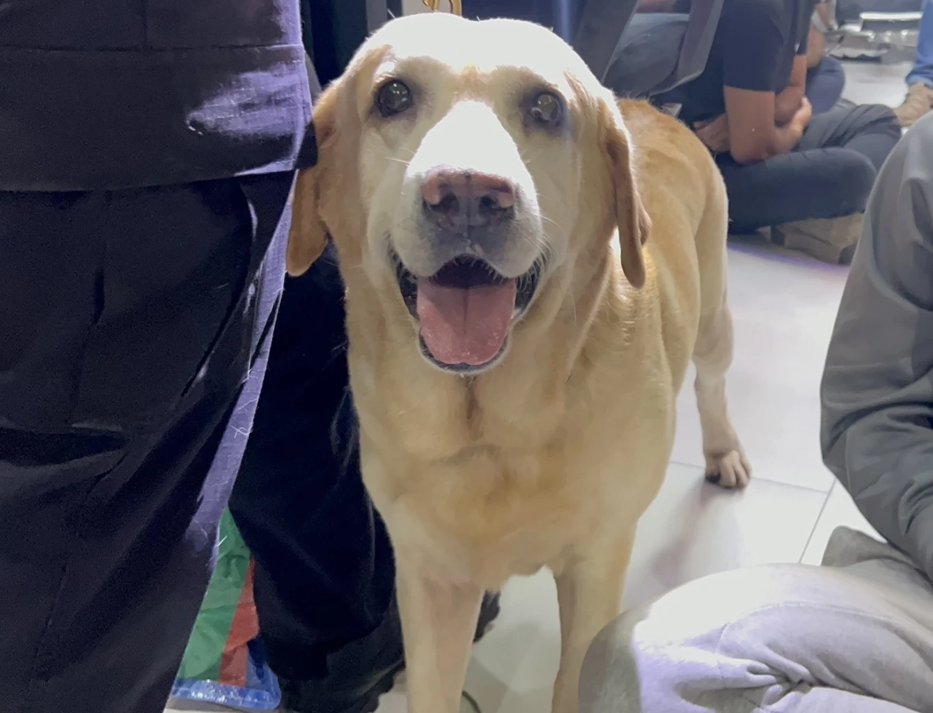 บช.น.รวบแก๊งแขกขาว ใช้ร้านตัดผมบังหน้า ลอบค้ายานรกกลางนานา