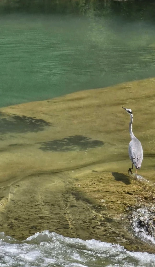 \"น้ำตกหวงกั่วซู่\" ใหญ่ที่สุดในจีน \"มณฑลกุ้ยโจว\" ยิ่งชมยิ่งสวย