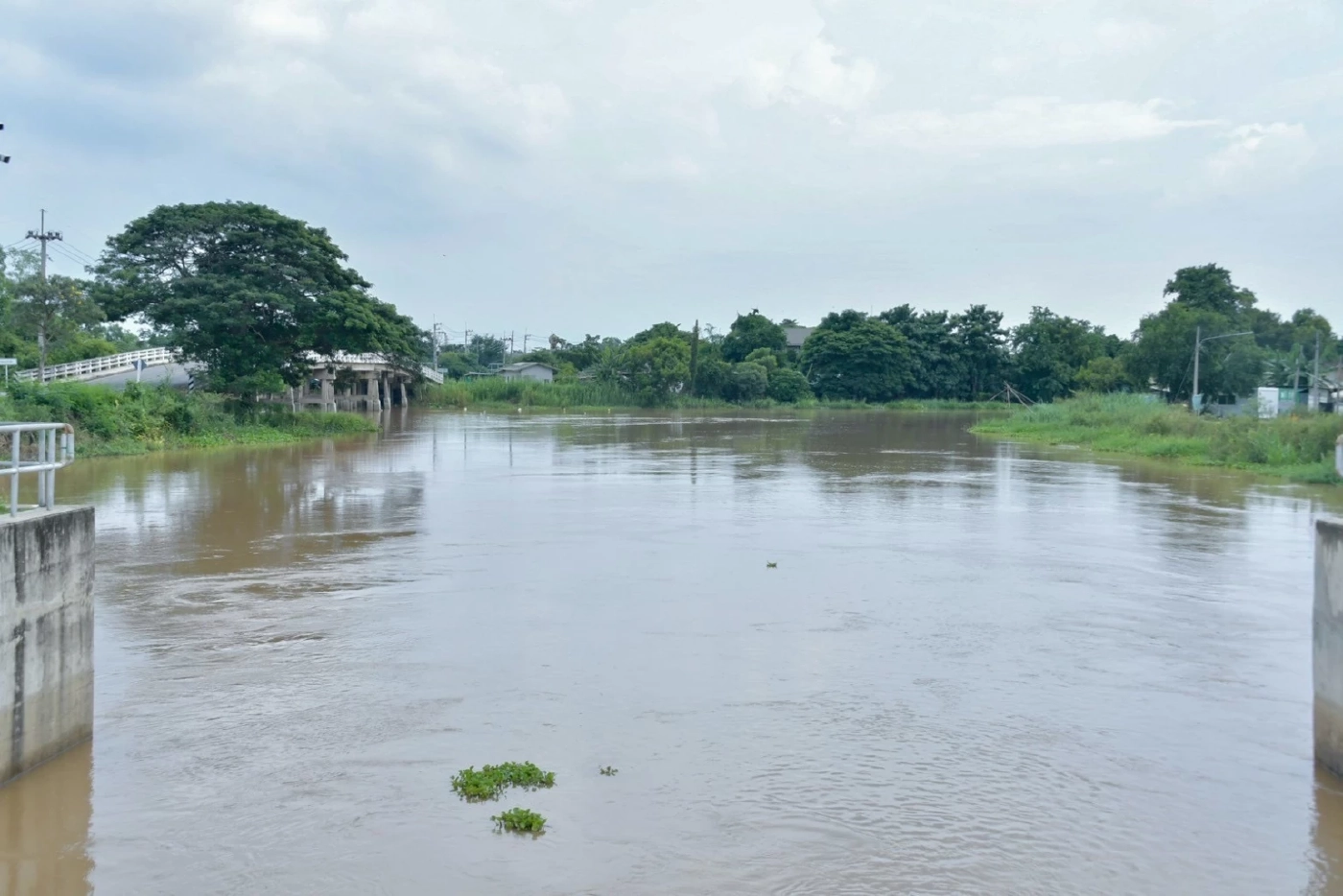 อธิบดีกรมชลฯ ลุยอยุธยา สั่งเร่งเคลียร์คลอง-วางแผนน้ำฤดูแล้ง