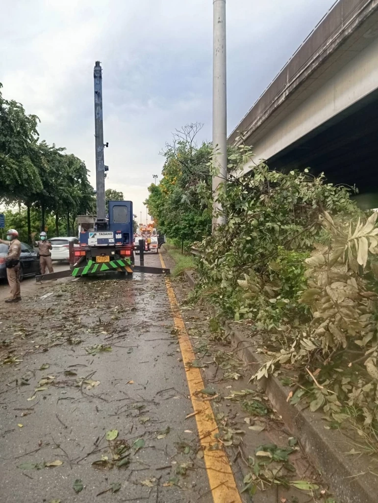 พายุฝนถล่มกรุง ต้นไม้ล้มขวางถนน-บ้านพัง การจราจรเป็นอัมพาตหลายจุด