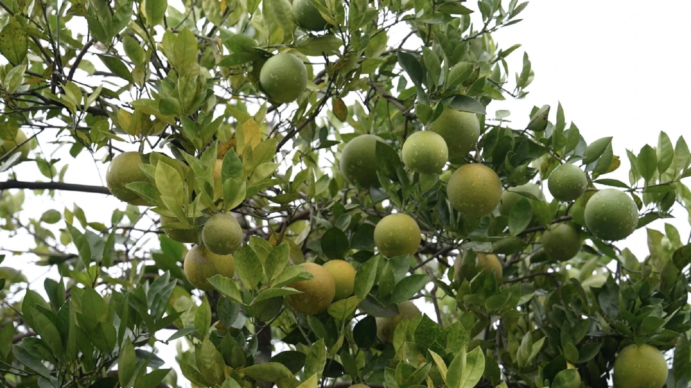 \"น้ำตกหวงกั่วซู่\" ใหญ่ที่สุดในจีน \"มณฑลกุ้ยโจว\" ยิ่งชมยิ่งสวย