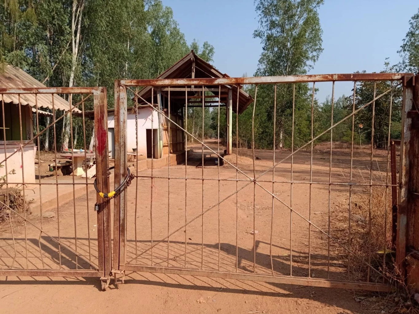 เปิดคำพิพากษาคดีครอบครองที่ป่า \"ปารีณา\" รอดคุก ศาลให้ประกันตัว