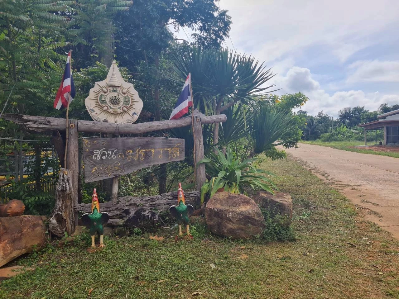 เปิดโมเดล \"สวนฆราวาส\" จากป่าดงมะไฟสู่กาแฟ GI ปลูกกาแฟกลางป่าเบญจพรรณ