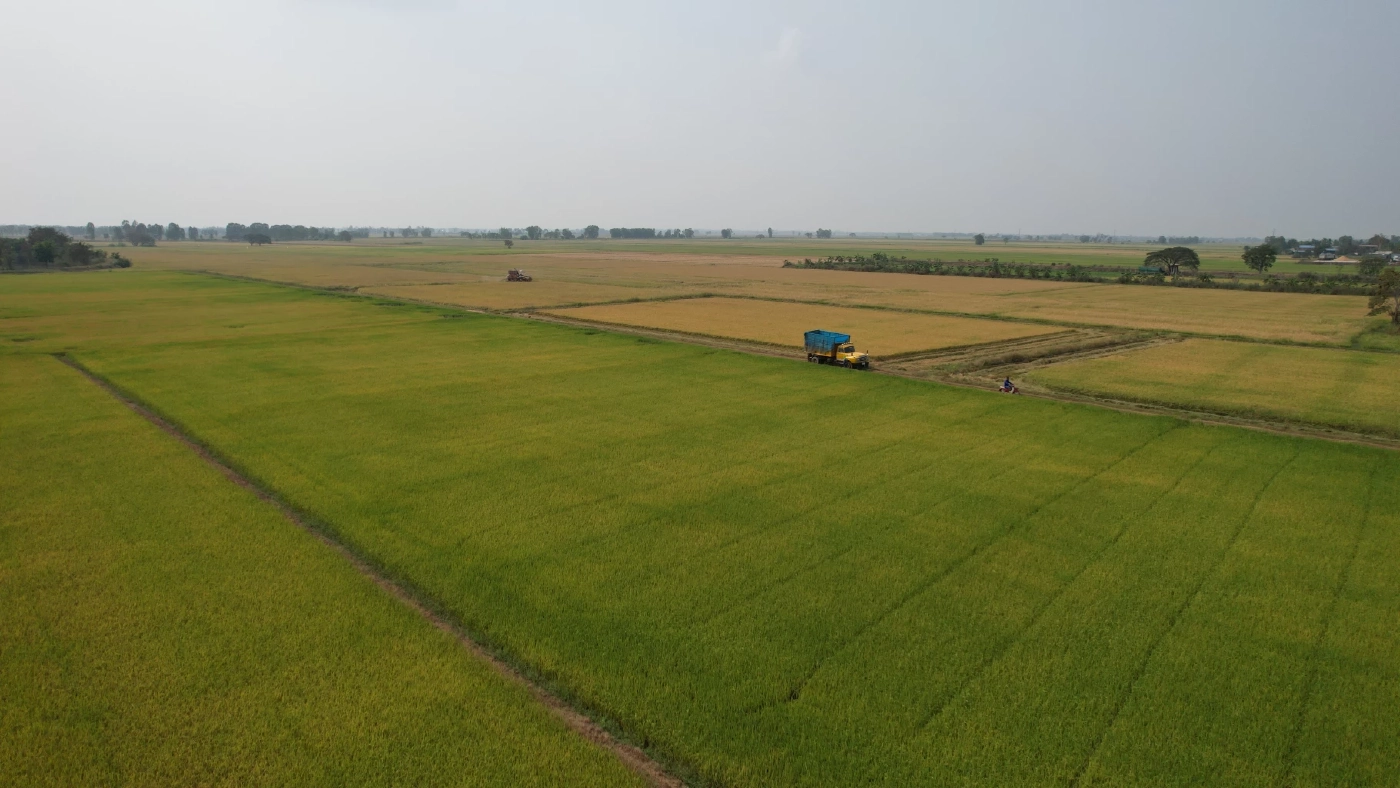 "บางระกำโมเดล" ต้นแบบจัดการน้ำยั่งยืน คว้ารางวัลระดับโลกจาก FAO