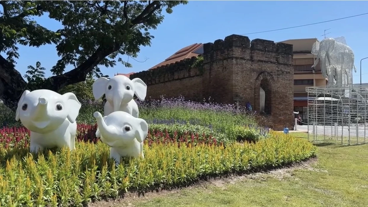 เทศบาลนครเชียงใหม่ แจงดราม่า "พ่นสีดำทับดอกไม้สีสดใส"