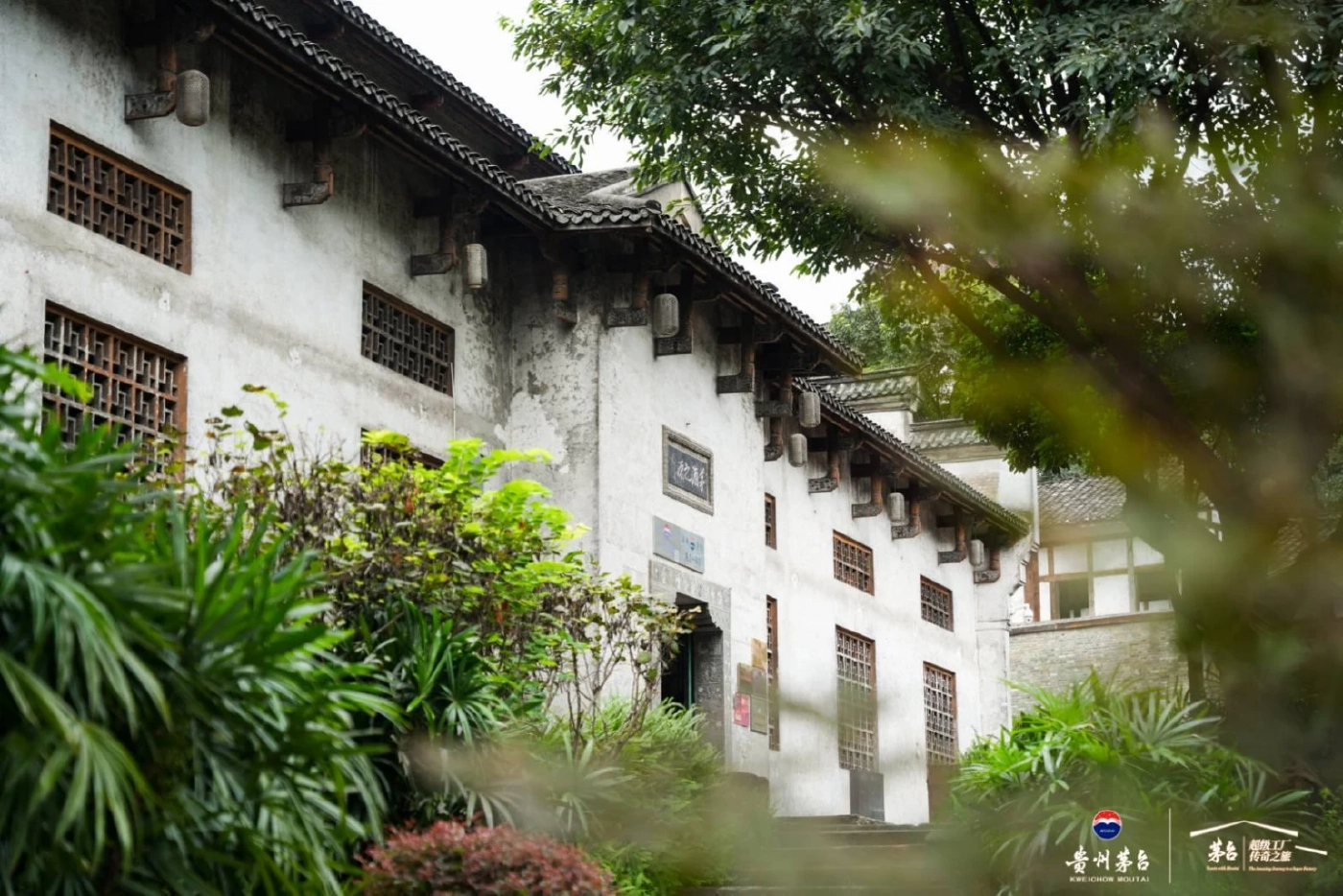 ตำนาน “เหมาไถ” สุราสวรรค์ประทาน: มรดกแห่งจิตวิญญาณของชาวจีน