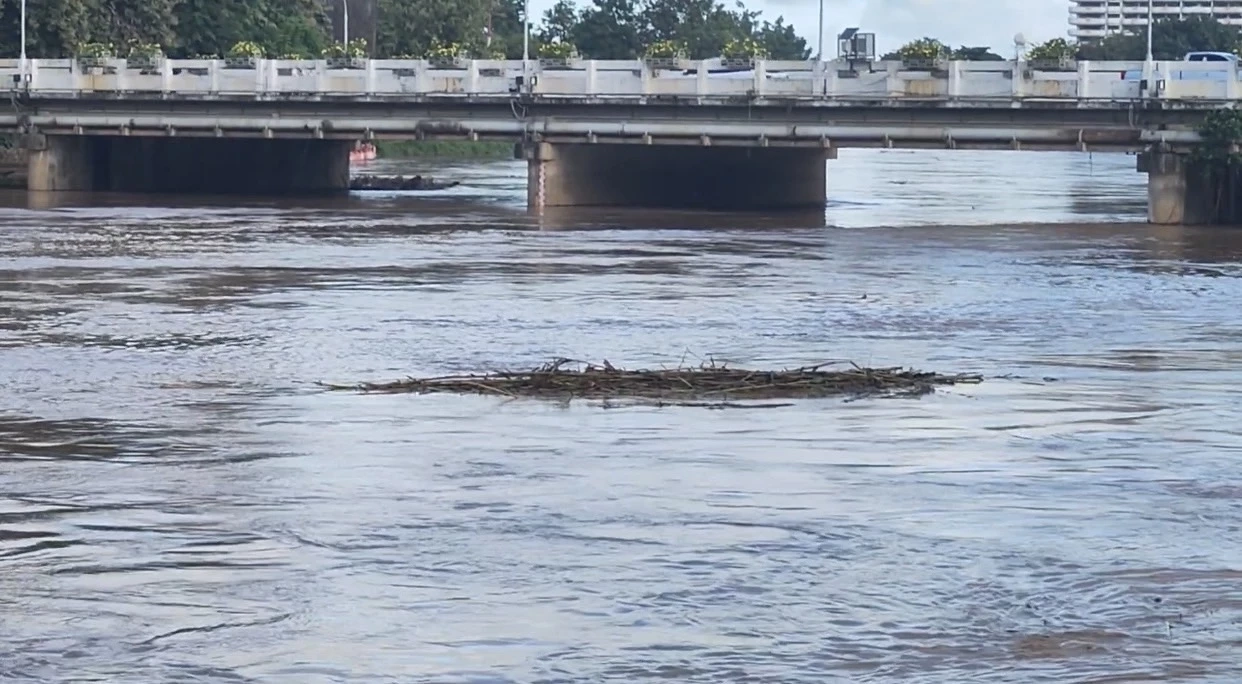 ปักธงเหลือง อีกครั้ง! เตือนประชาชนเฝ้าระวังระดับแม่น้ำปิง