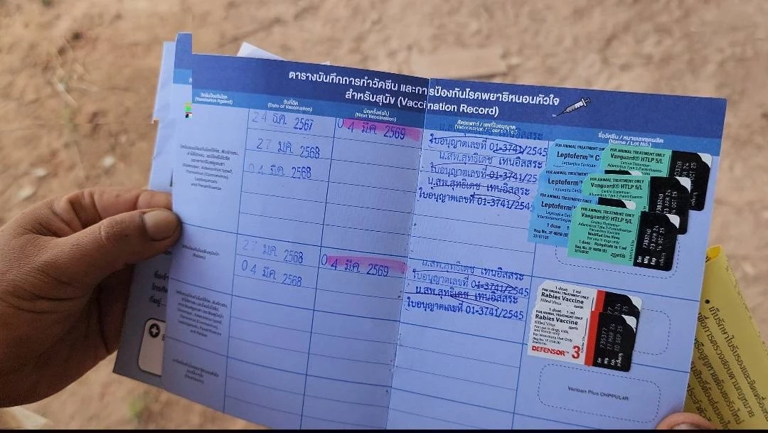 ชาวบ้านชายแดน ห่วงน้องหมาสุดรัก ประกาศหาบ้านใหม่ให้น้อง