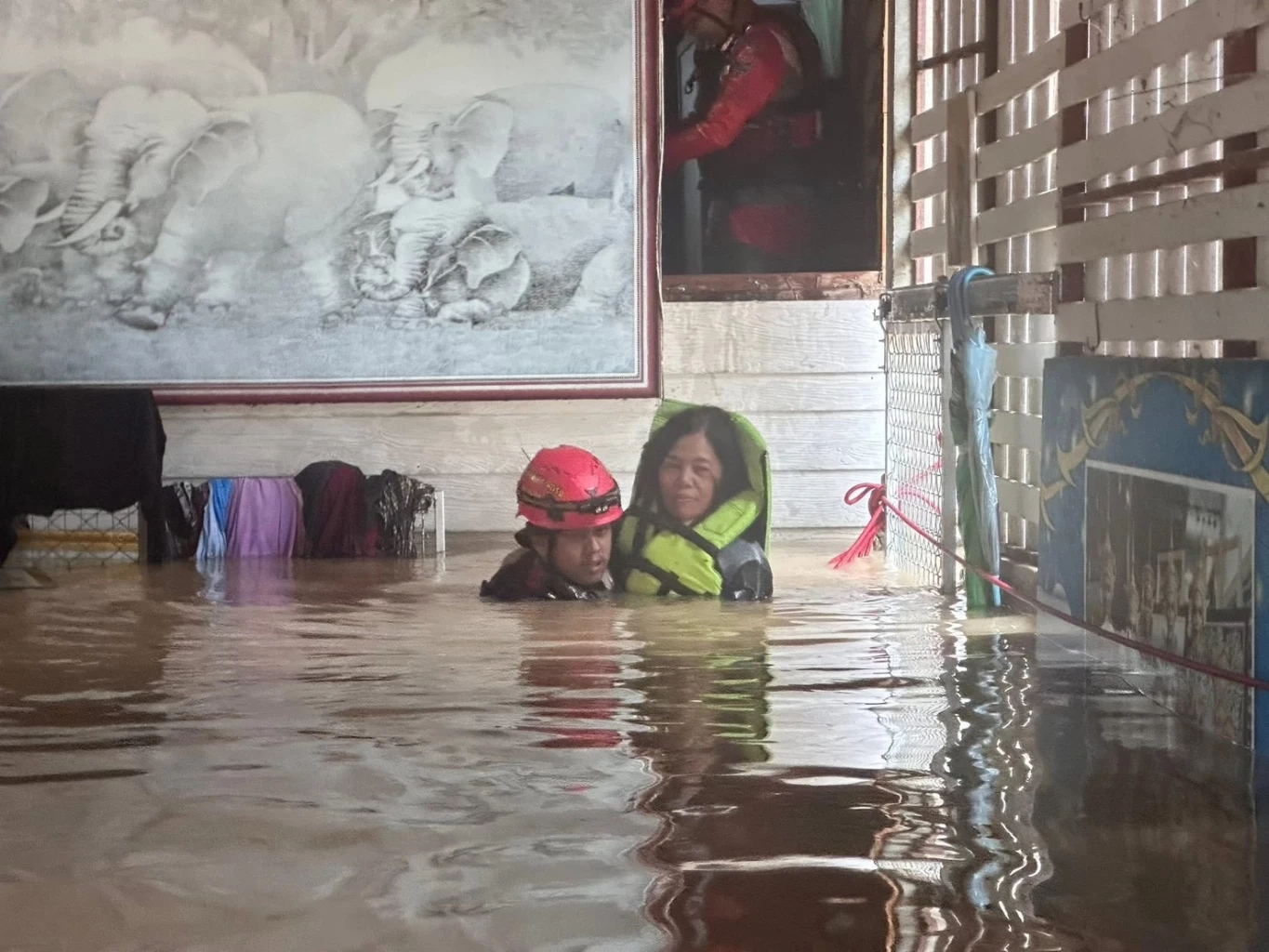 นาทีกู้ภัยช่วย 4 ชีวิตติดบ้านน้ำท่วม "ย่านตาขาว" หญิงใจเด็ดไม่ยอมอพยพ ขออยู่ดูแลสุนัข 36 ตัว