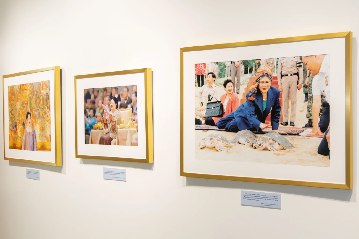 สยามพิวรรธน์ จัดนิทรรศการ "จากพระราชปณิธาน...สู่มรดกแห่งแผ่นดิน" 7-20 พ.ย.นี้ ณ สยามพารากอน