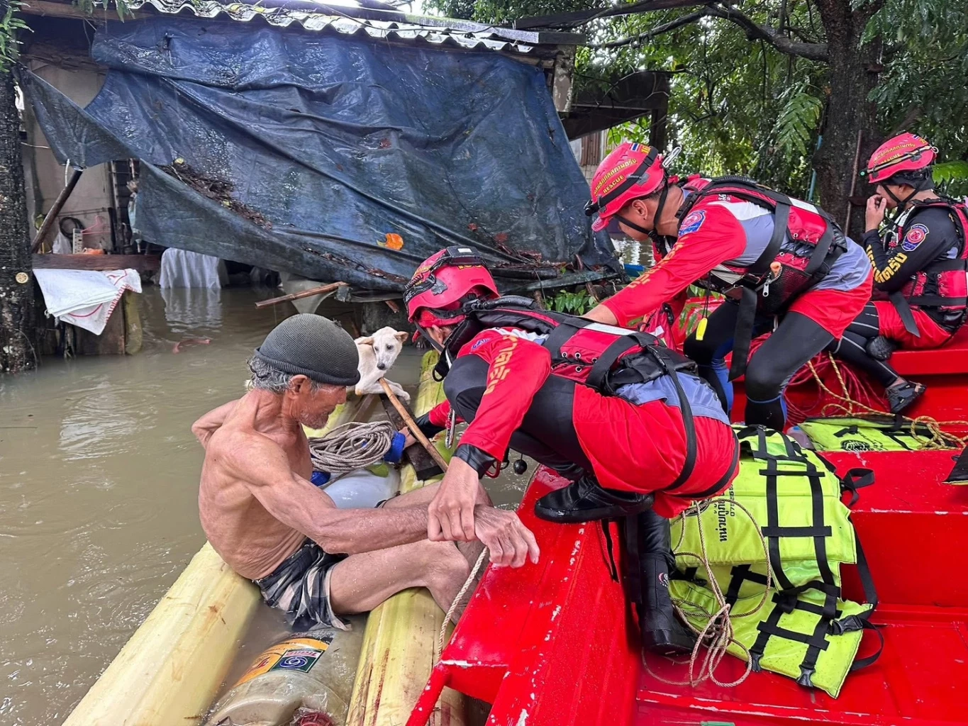 นาทีกู้ภัยช่วย 4 ชีวิตติดบ้านน้ำท่วม "ย่านตาขาว" หญิงใจเด็ดไม่ยอมอพยพ ขออยู่ดูแลสุนัข 36 ตัว