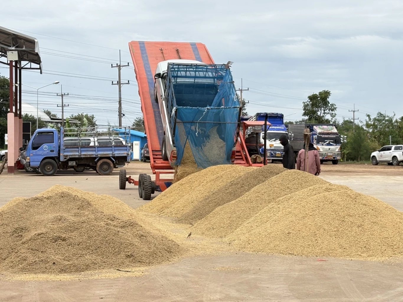 ตลาดข้าวคึกคัก ข้าวหอมดีดแตะ 16,000 บาท/ตัน รับมาตรการ นบข.