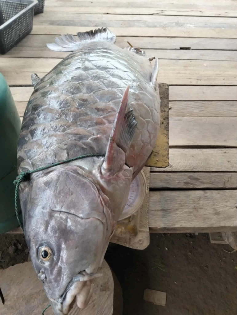 ผู้ว่าฯ สั่งด่วน! ตรวจ \"สารหนู\" ปนเปื้อน \"แม่น้ำสาละวิน\"