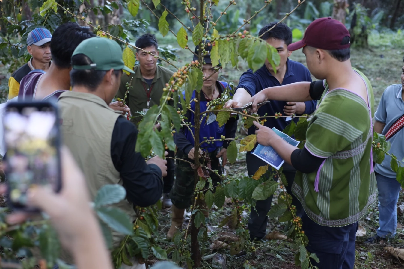GULF พัฒนากาแฟดอยสูง: พาชุมชนมอโก้โพคี-ดอยเวียง ศึกษาดูงานโครงการดอยตุง